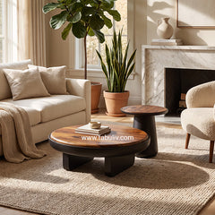Belloro Coffee Table in Teak & Black Colour