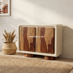 Advaya 2 Door Cabinet