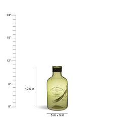 Xavier Green vase - Fabuliv