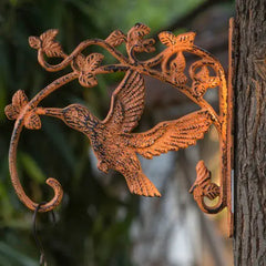 Buy FABULIV Hornbill Wall Brackets online