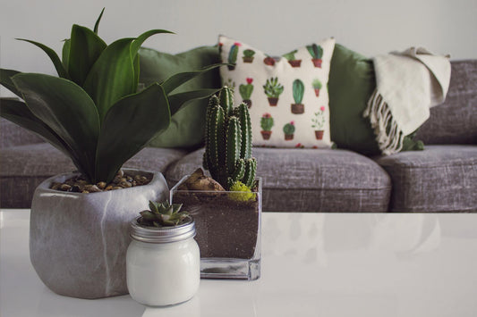 Ethical And Sustainable Home Decor: Alter Living With A Greener Lifestyle