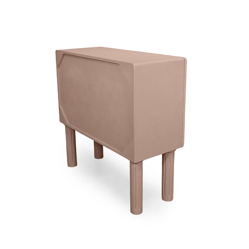 Roop Mango Wood Cabinet