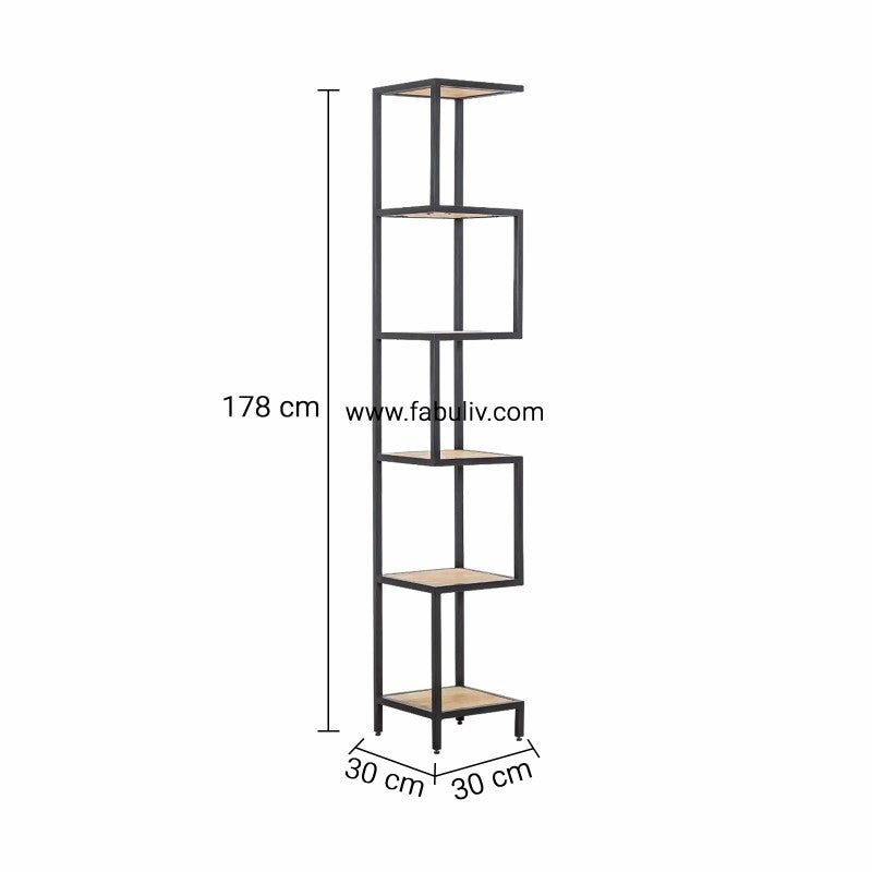 Raffiné Iron and Mango Wood Display Unit