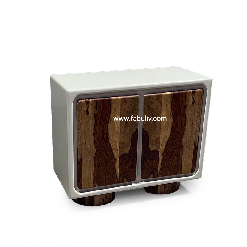 Advaya 2 Door Cabinet