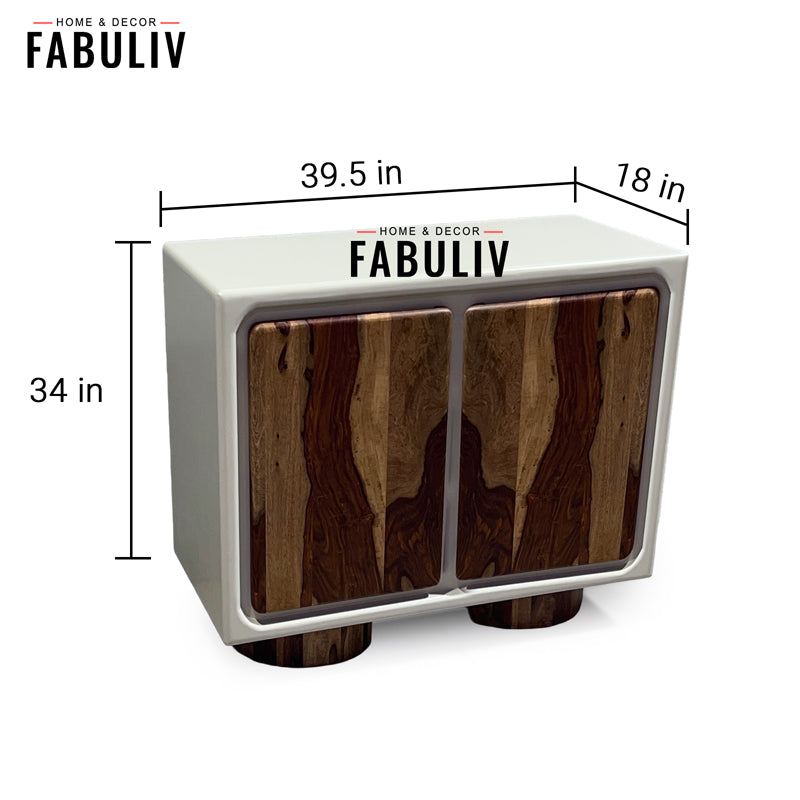 Advaya 2 Door Cabinet