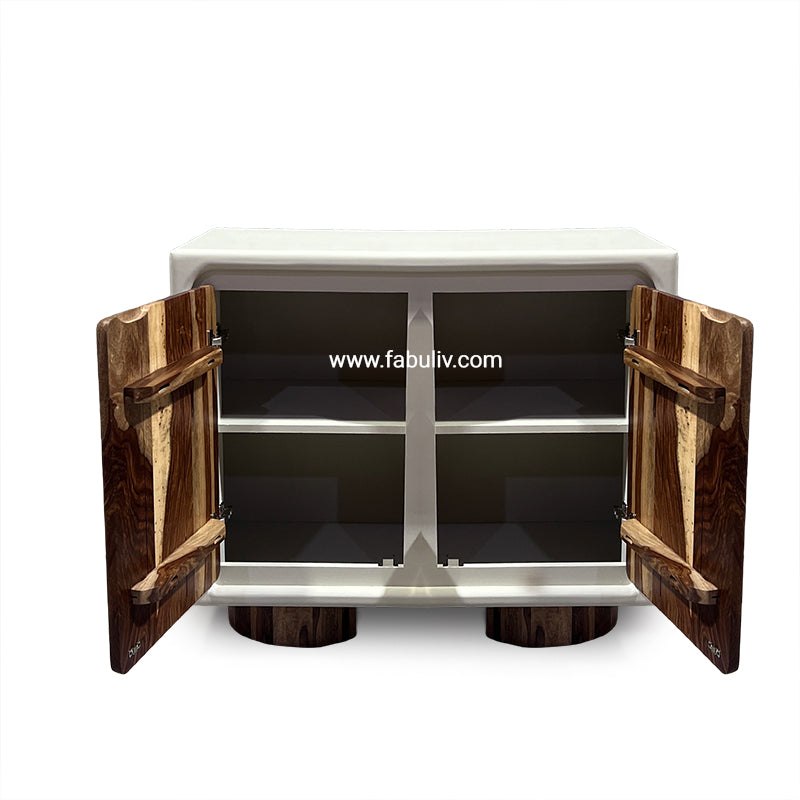 Advaya 2 Door Cabinet