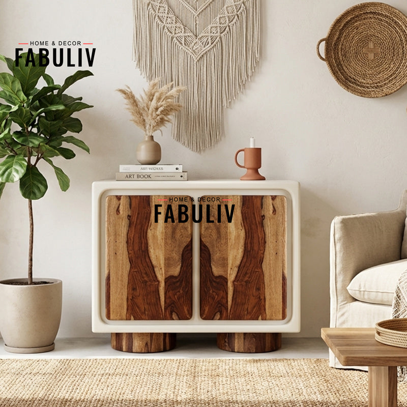 Advaya 2 Door Cabinet