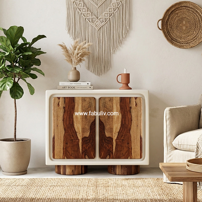 Advaya 2 Door Cabinet