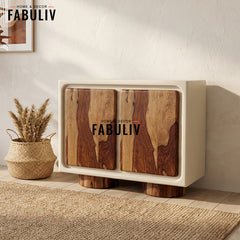 Advaya 2 Door Cabinet