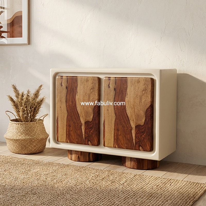 Advaya 2 Door Cabinet