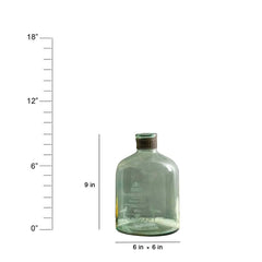 vases