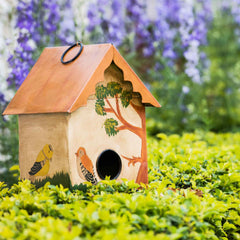 Buy Humming Bird House Orange online