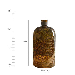 decorative vases